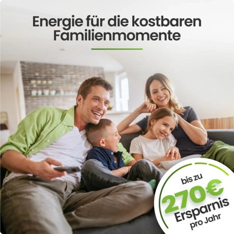 1680Wp Balkonkraftwerk 4x JA Solar 420Wp Fullblack Hoymiles HMS-1600-4T inkl. Versand